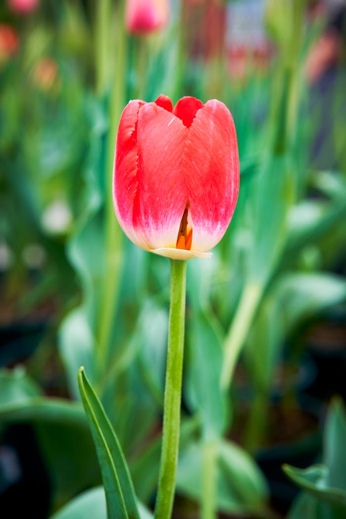 featured-portfolio-02