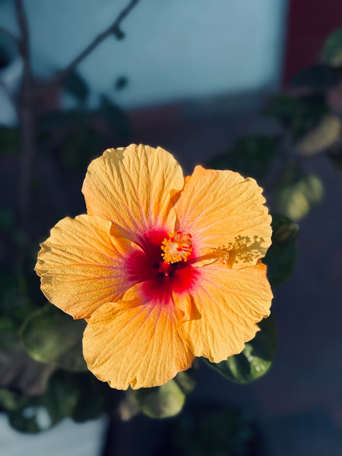 wedding-photographer-01