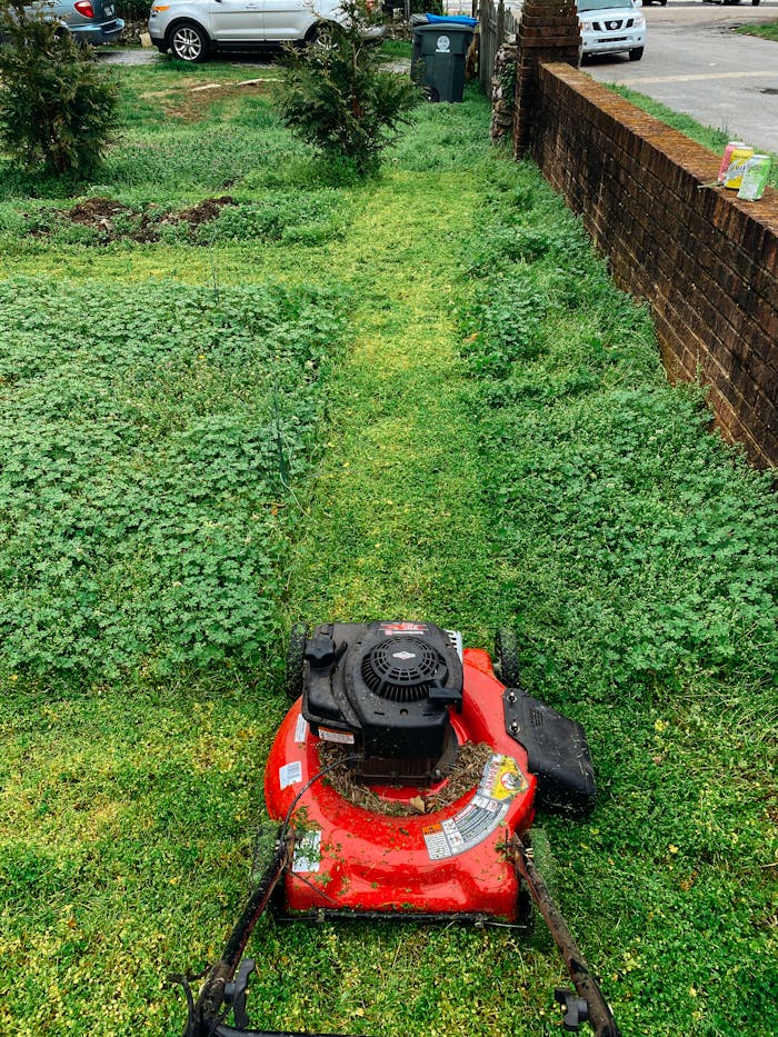 pexels-photo-3999647 Red lawn mower cutting grass in a green garden with visible cut path. Ideal for gardening themes.